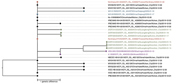 Genomes_2020-01-25_25.phyml.tree