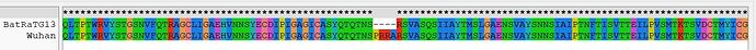 RaTG13 vs Wuhan peptide