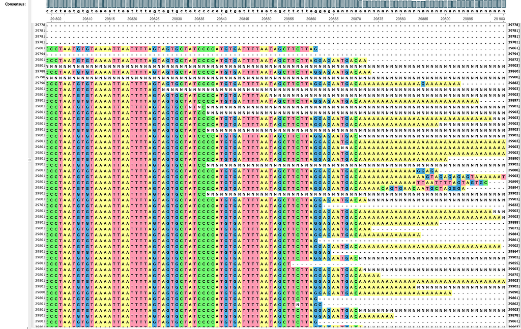 A protocol for applying low-coverage whole-genome sequencing data in  structural variation studies