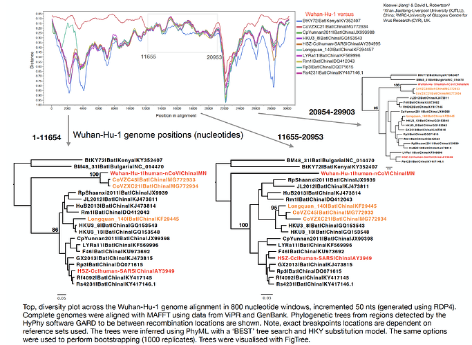 nCoV-recombination-analysis-v2