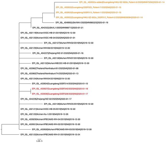 2020.01.25a_tree.nex