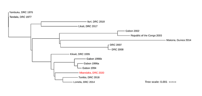 equateur2020-tree