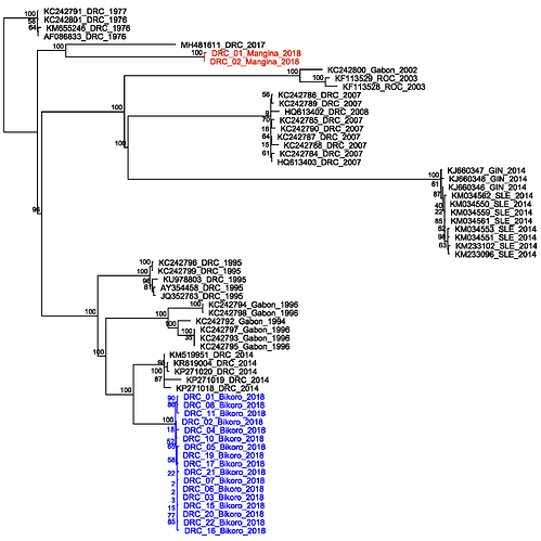 INRB%20tree