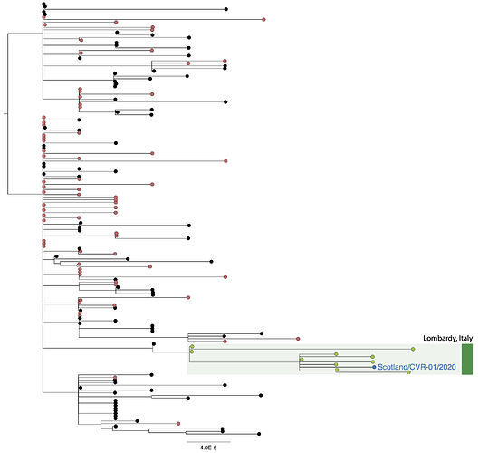 alignment.iqtree.tree