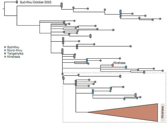 clade_ib_drc.tree