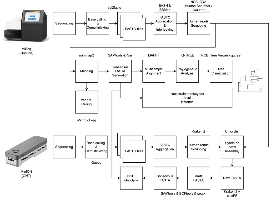 A draft of the first genome sequence of Monkeypox virus associated with ...