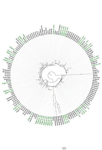 SARS_CoV_2_subset_09-07-20_tree