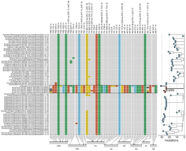 Addendum Figure 1