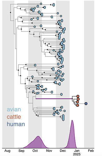 Addendum Figure 2.image