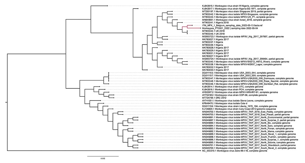 Belgian case of Monkeypox virus linked to outbreak in Portugal - Genome ...