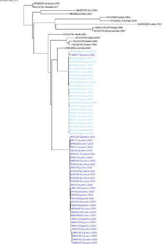 equateur-2018-2020-tree