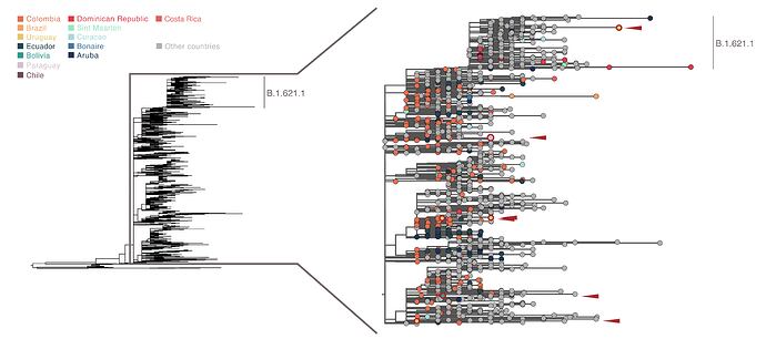 FastTree_SARS2_B.1.621_col-04082021_masked_LATAM_subtree-01