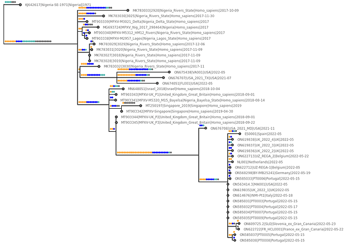 HPXV_APOBEC_tree