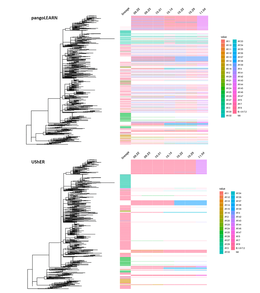 SARS-CoV-2 Lineage Assignment Is More Stable With UShER - NCoV-2019 ...