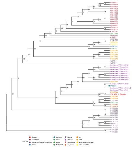 west_african_clades.combined.mafft.fasttree