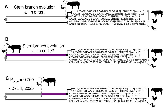 Figure7