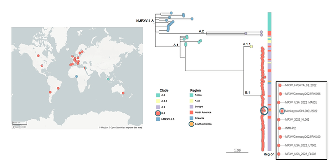 Maximum-Likelihood (GTR model) phylogenetic tree for 95 available Monkeypox genomes