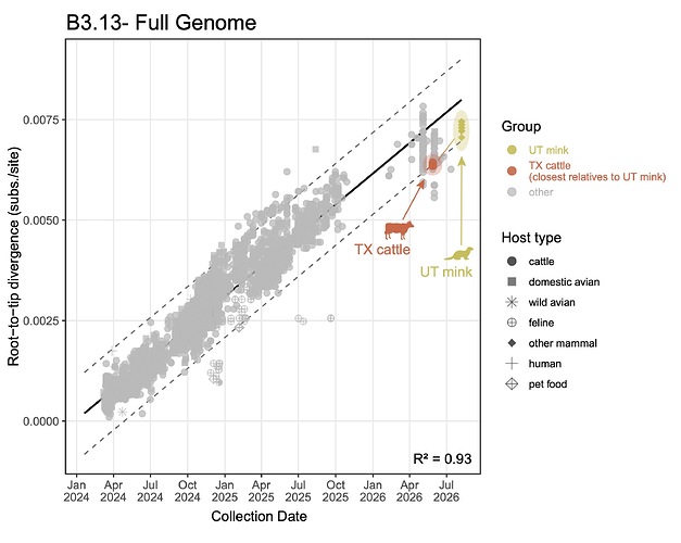 Figure 5. B3.13 root-to-tip distance plot