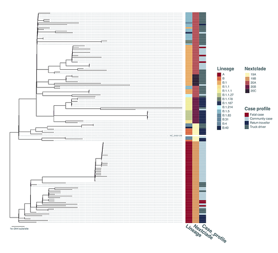 Figure_2_Entebbe_1to34_rm5dup_rmUG182932_raxML_GTRG100_v1_600