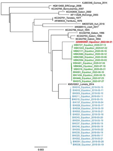 all-genomes_no-guinea RAxML Tree