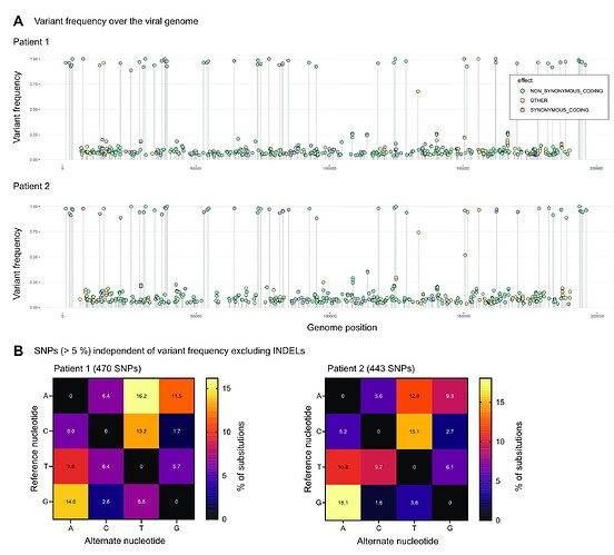 Figure 2 (A) Variant frequencies and (B) type of substitutions detected in over 5 % by lofreq.