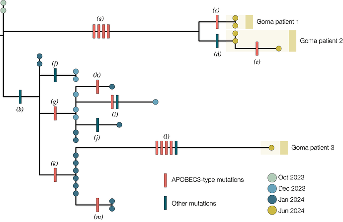 KAM+Goma.aln.tree