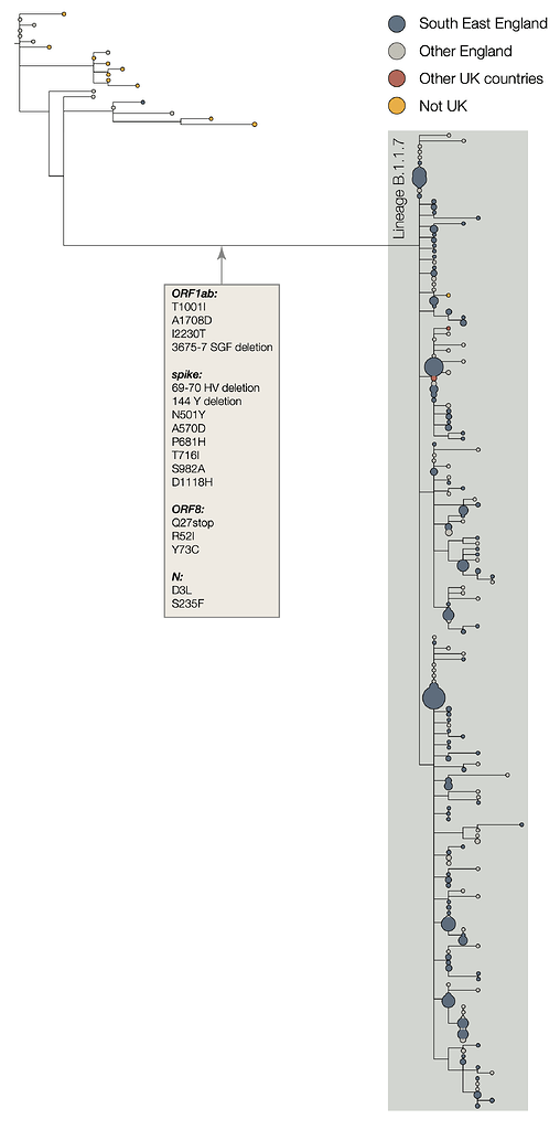 Preliminary genomic characterisation of an emergent SARS-CoV-2