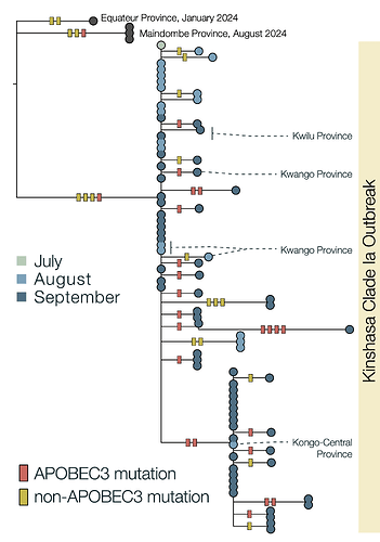 clade_ia_kinshasa_outbreak