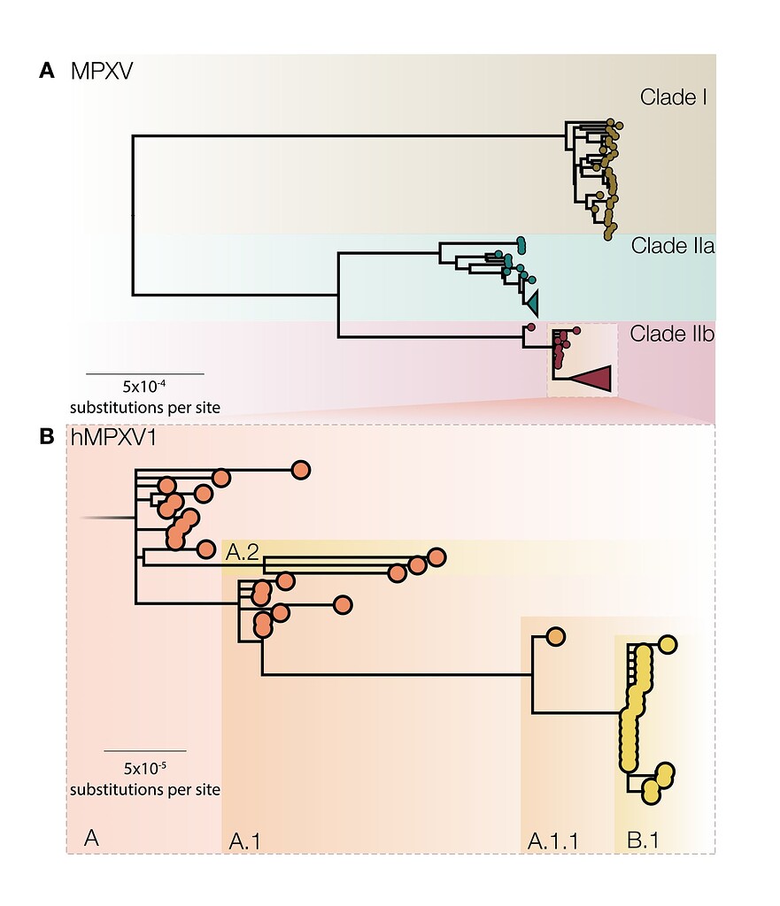 virological.org