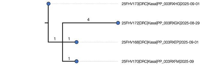 Kasai_4_ONT_2025-09-10.aln.ml_rooted.tree