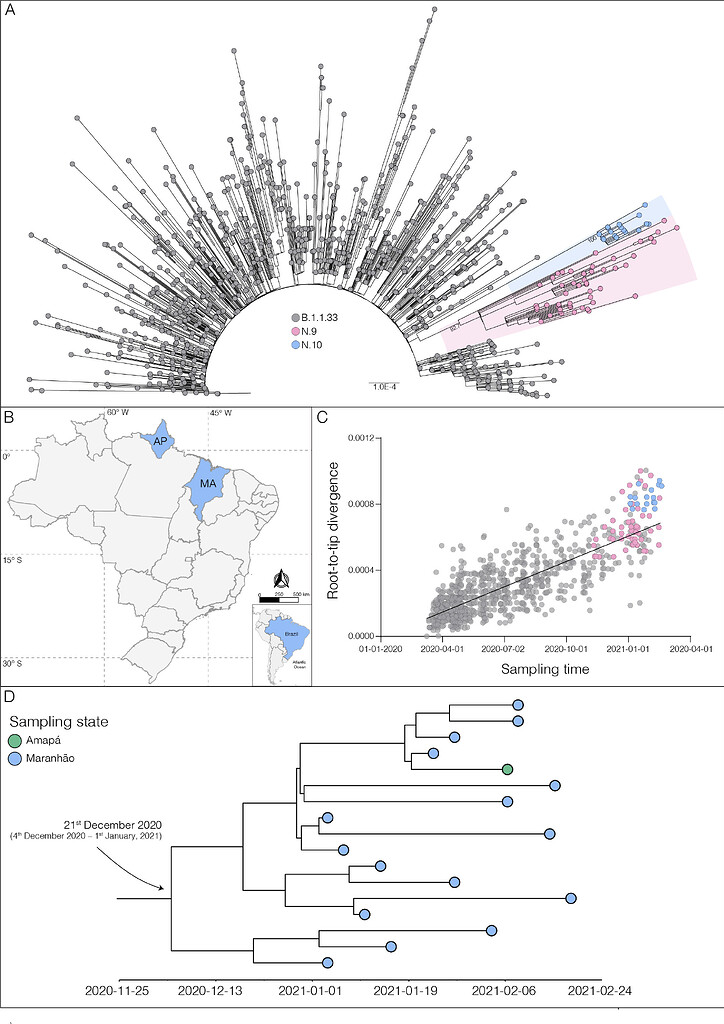 Identification Of A New B.1.1.33 SARS-CoV-2 Variant Of Interest (VOI ...