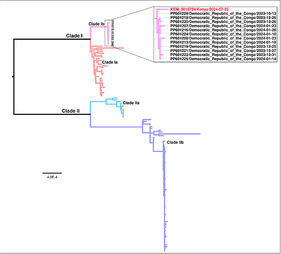 MPOX_SET_170.aln.tree.edited1 (1)