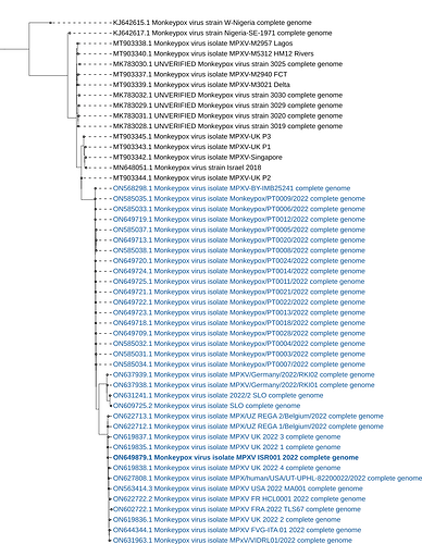 MPXV_phylogeny_2.6.2022