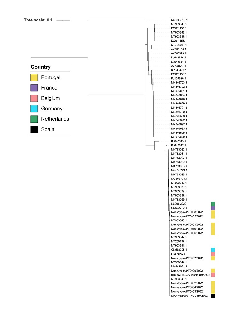 Spanish draft genome sequence of Monkeypox virus related to multi ...