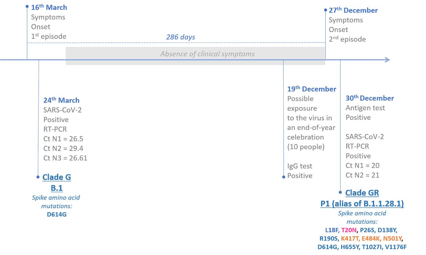 SARS-CoV-2 reinfection by the new Variant of Concern (VOC) P.1 in ...