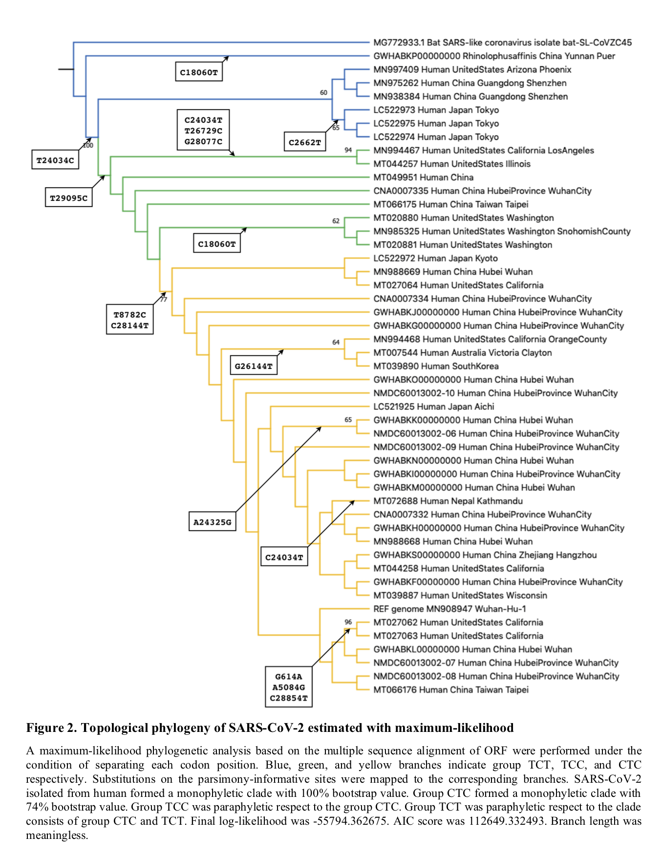 Response To On The Origin And Continuing Evolution Of Sars Cov 2 Ncov 19 Genomic Epidemiology Virological