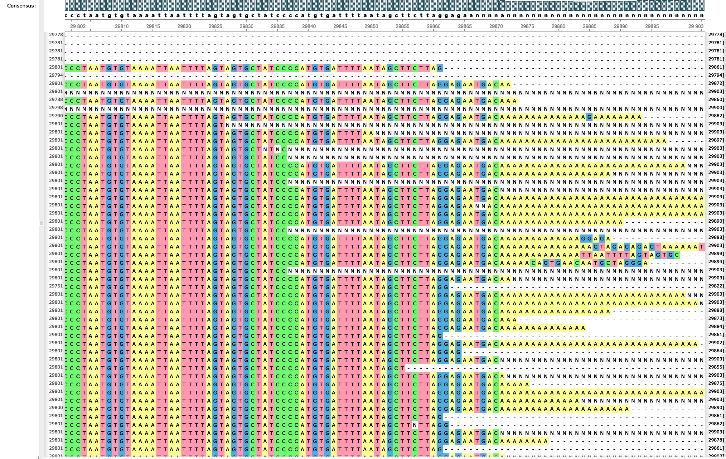 samtools get consensus sequences